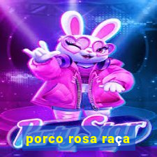 porco rosa raça