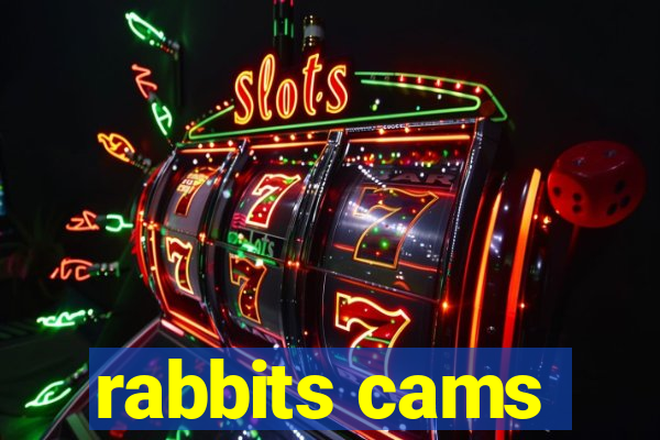 rabbits cams