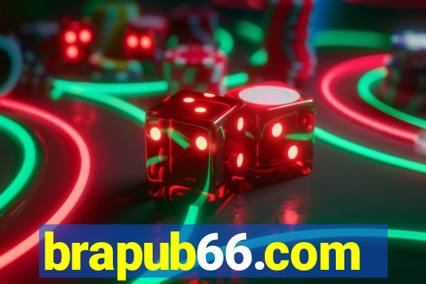 brapub66.com