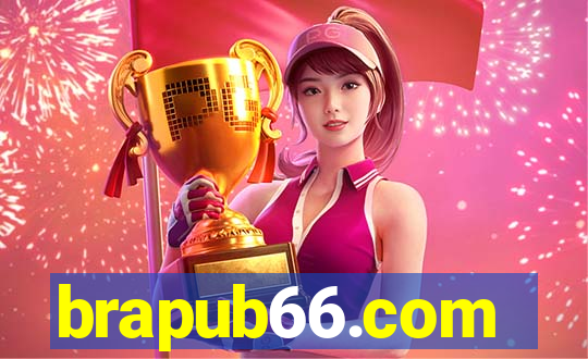 brapub66.com