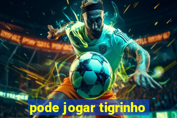 pode jogar tigrinho