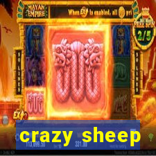 crazy sheep