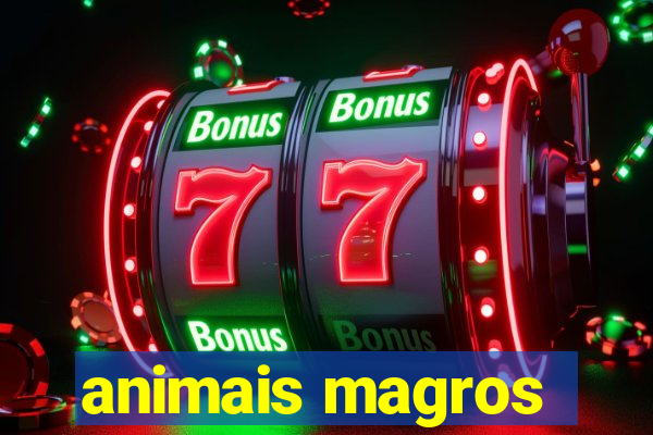 animais magros