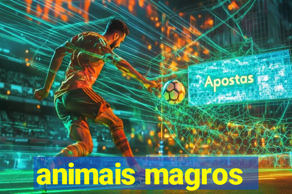 animais magros