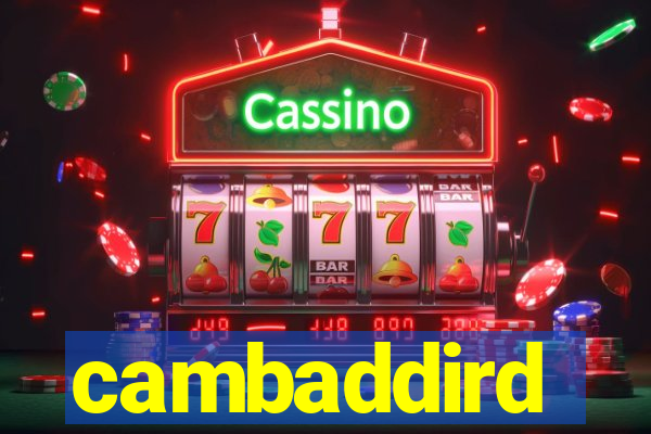 cambaddird