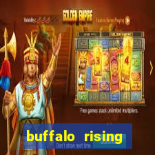 buffalo rising megaways slots