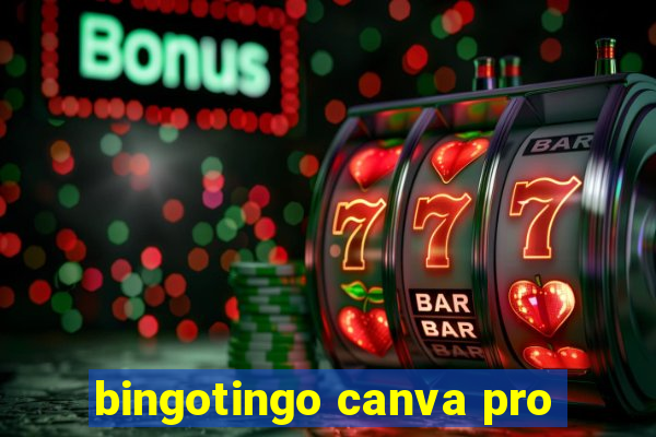 bingotingo canva pro