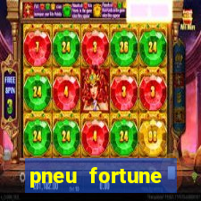 pneu fortune fsr-802 é bom