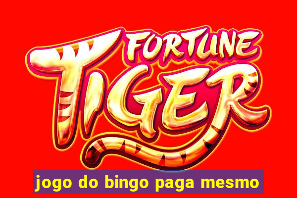 jogo do bingo paga mesmo