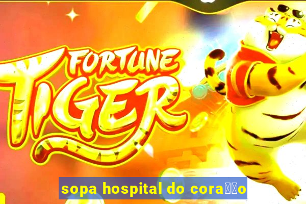 sopa hospital do cora莽茫o