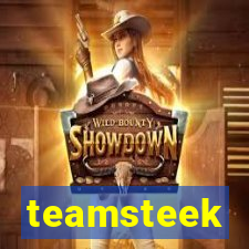 teamsteek