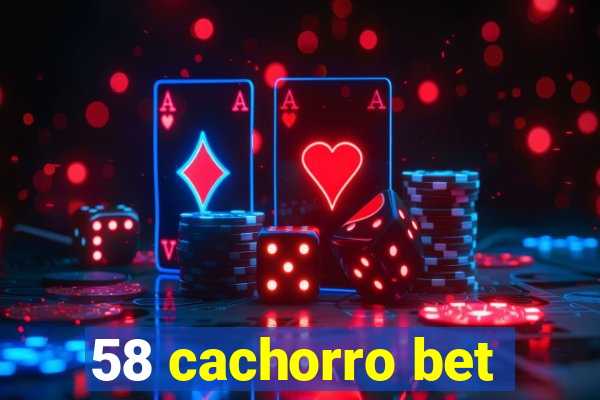 58 cachorro bet