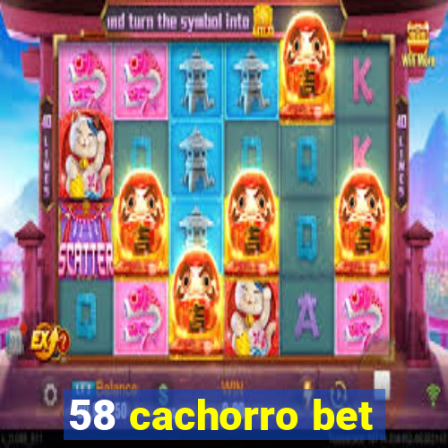 58 cachorro bet