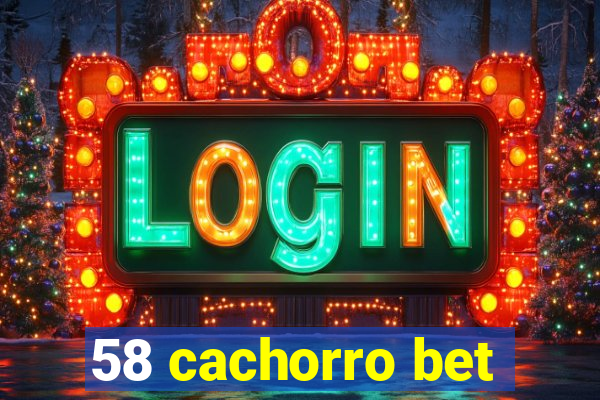 58 cachorro bet