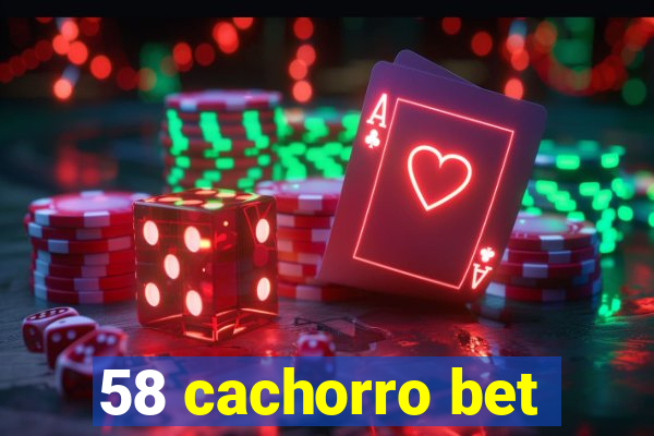 58 cachorro bet