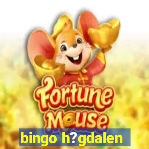 bingo h?gdalen