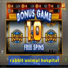 rabbit animal hospital