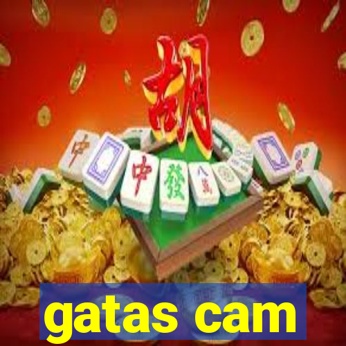 gatas cam