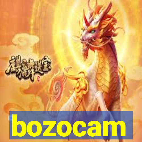 bozocam