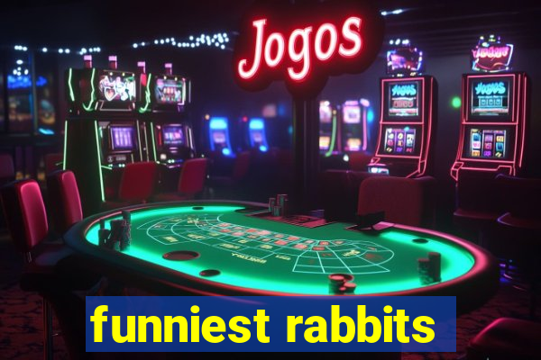 funniest rabbits