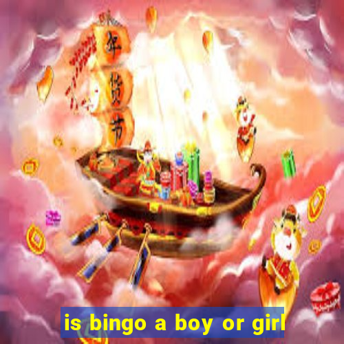 is bingo a boy or girl