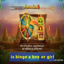 is bingo a boy or girl