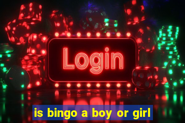 is bingo a boy or girl