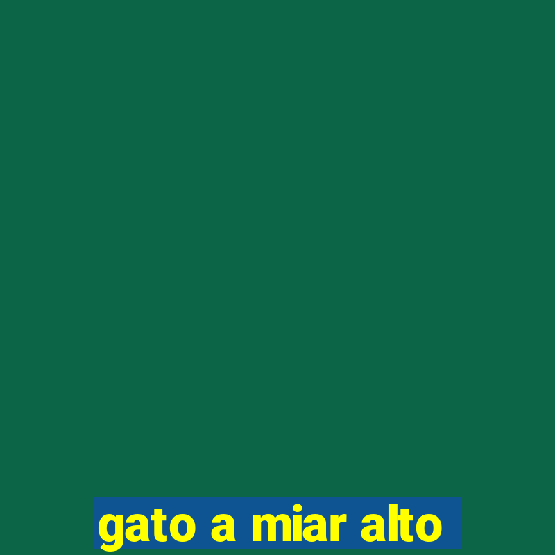 gato a miar alto