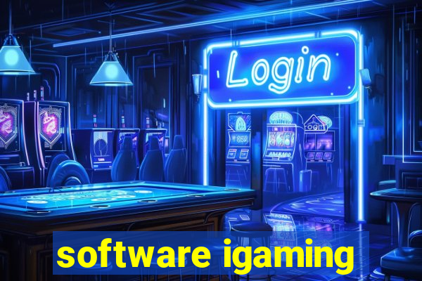 software igaming