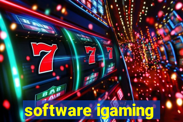 software igaming