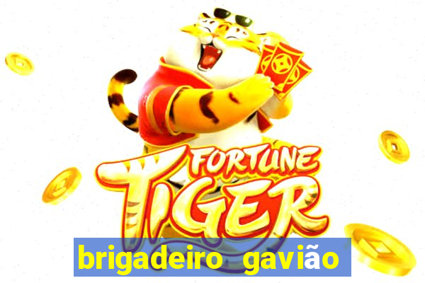 brigadeiro gavião peixoto 360