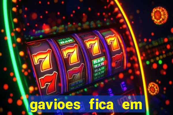 gavioes fica em qual setor