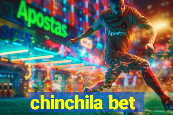 chinchila bet