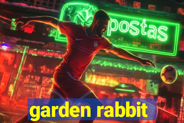 garden rabbit