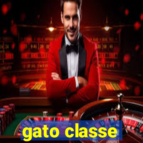 gato classe