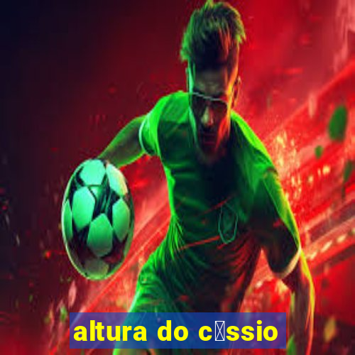 altura do c谩ssio