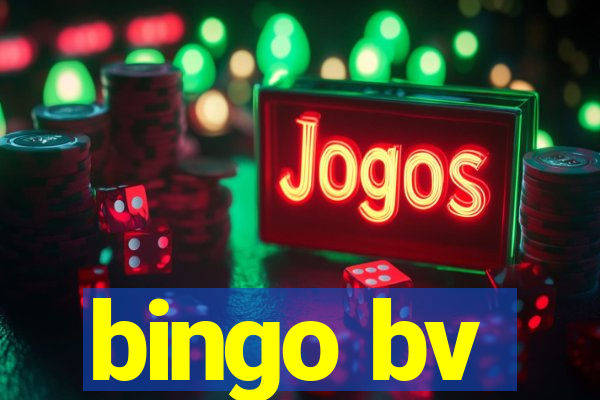 bingo bv