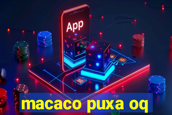 macaco puxa oq