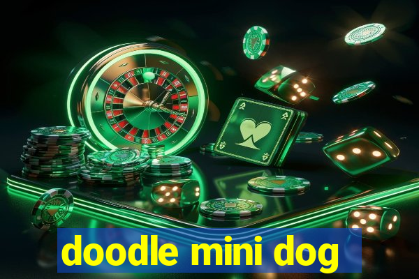 doodle mini dog