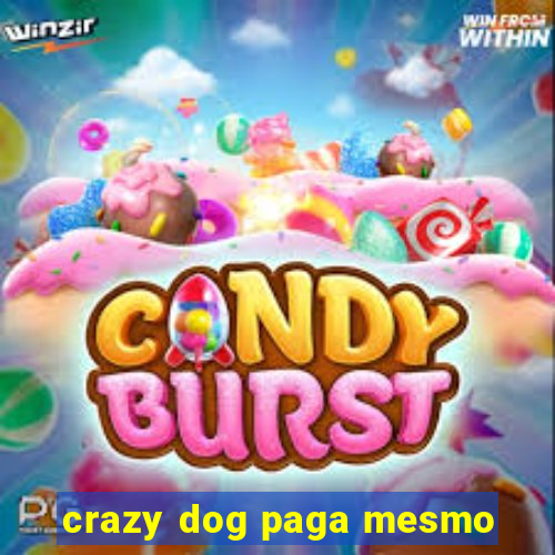 crazy dog paga mesmo