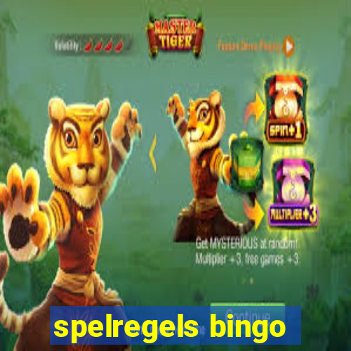 spelregels bingo