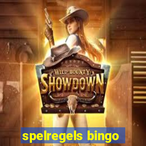 spelregels bingo