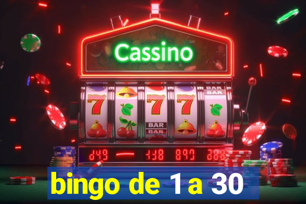 bingo de 1 a 30