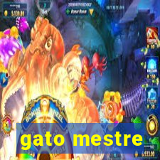 gato mestre