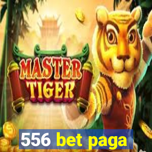 556 bet paga