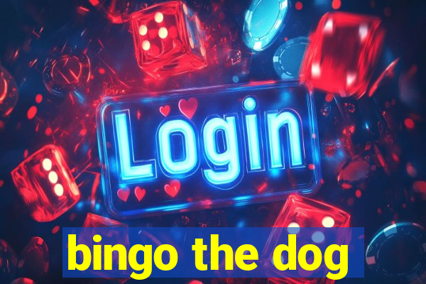 bingo the dog