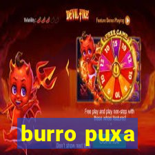 burro puxa