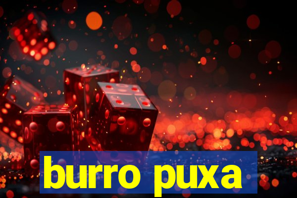 burro puxa