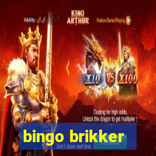 bingo brikker