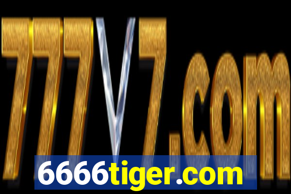 6666tiger.com